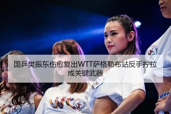 国乒樊振东伤愈复出WTT萨格勒布站反手拧拉成关键武器